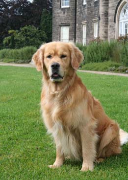 Bin ich nicht zum Verlieben?